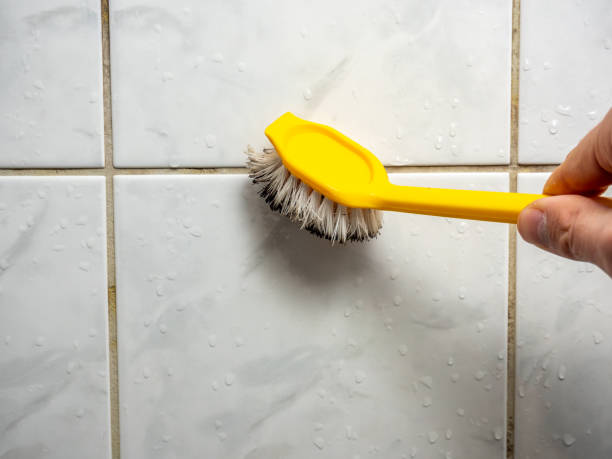 Adamstown, MD Mold Removal Company
